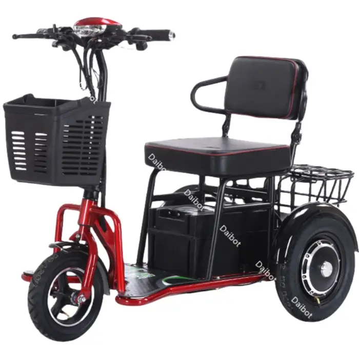 Tricycle électrique à double moteur