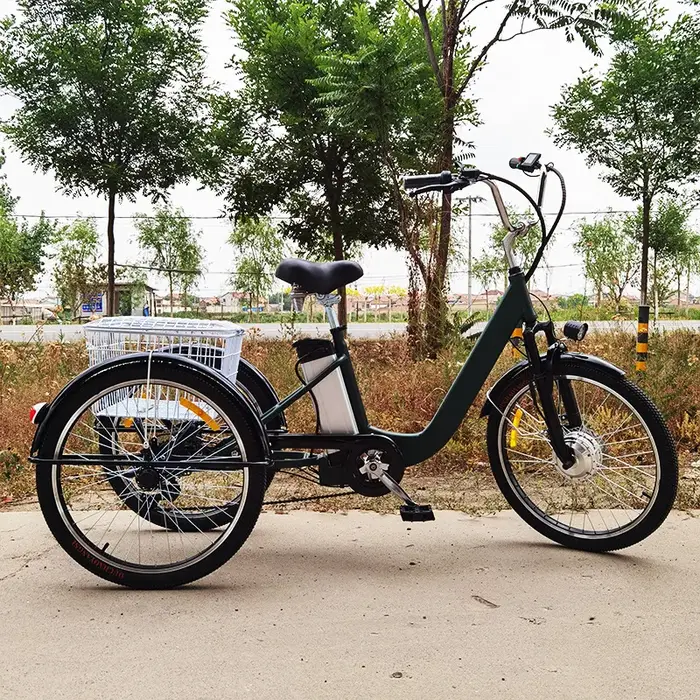 Tricycle électrique pour adultes de 24 pouces