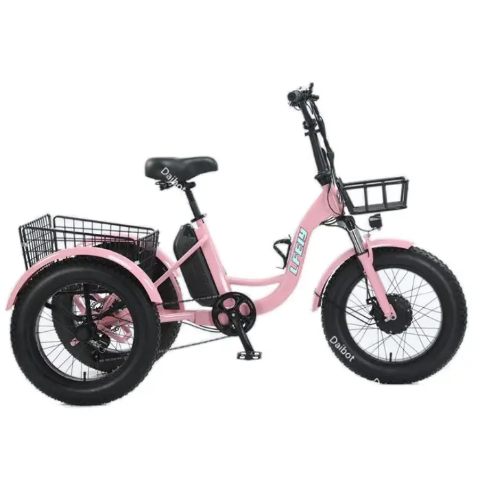 Nouveau 3 roues gros pneu adulte rose vélo électrique femmes ville 500W famille Cargo Tricycle élect