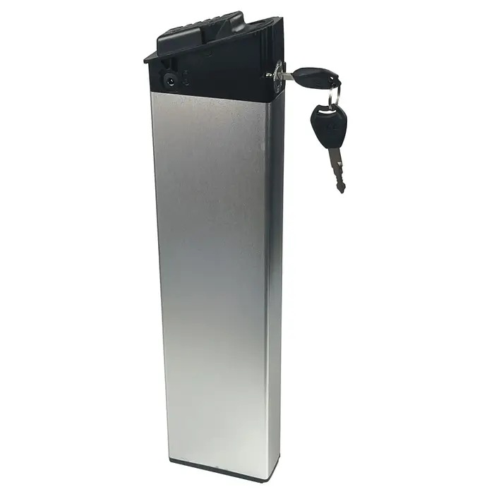 Batterie Mx21 36/48V 12