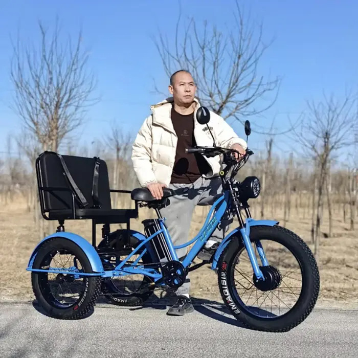 Tricycle électrique gros pneu pour adultes avec siège arrière/ceinture de sécurité 750W puissant vélo