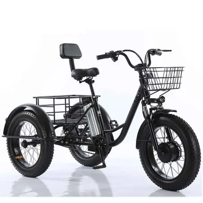 Tricycles électriques familiaux E-cargo 20 pouces, 48V, 20ah, 500W, vélo Cargo électrique à 3 roues,