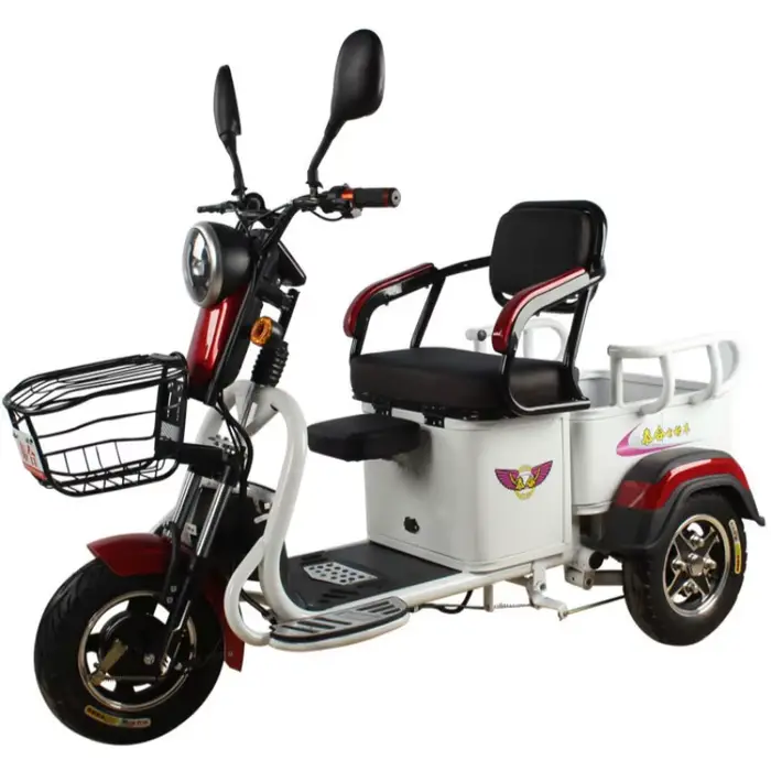 Tricycle électrique à 3 roues pour adultes