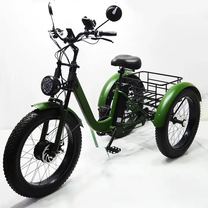 Tricycle électrique à 3 roues pour hommes adultes