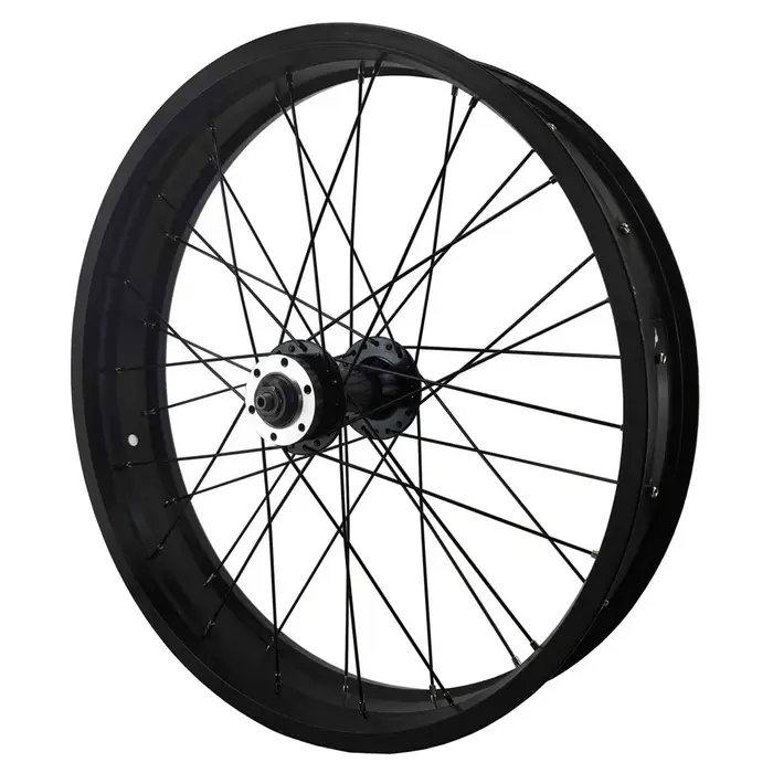 Gros vélo roue avant Ebike 20 et 26 pouces