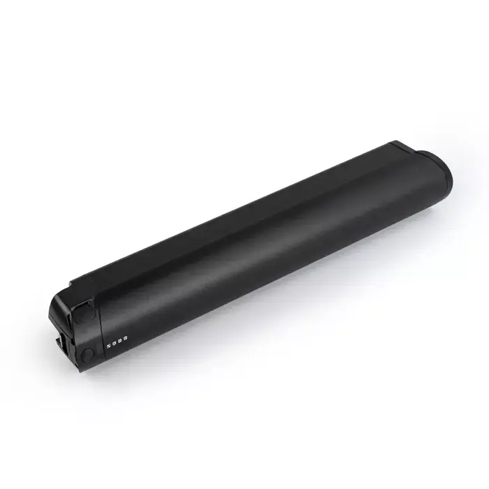 Batterie de remplacement 36V Reention EEL Pro