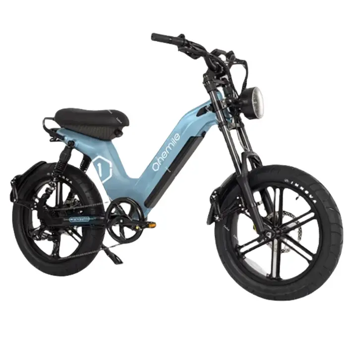 Fatbike – vélo électrique 2024