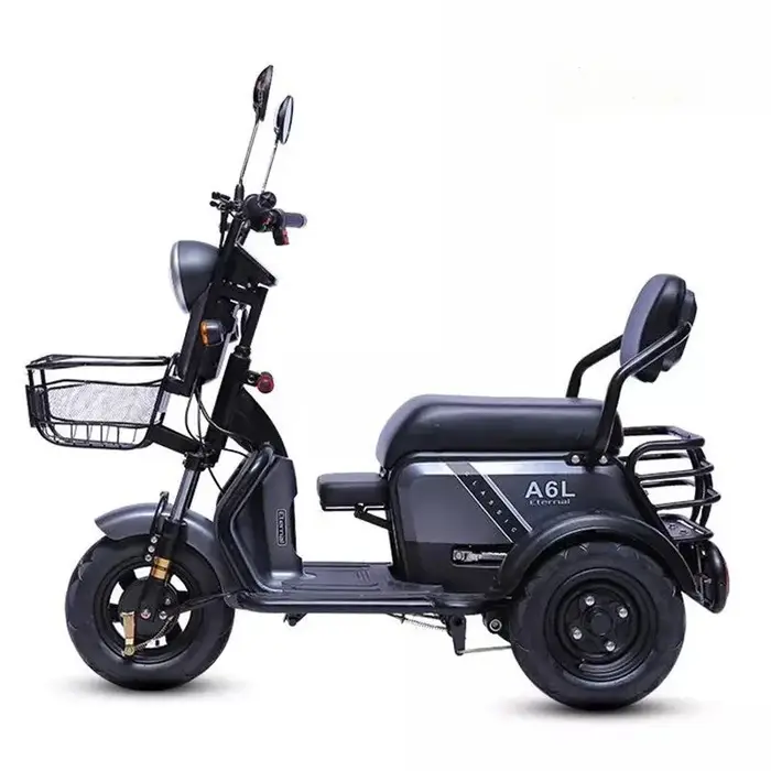Tricycle électrique familial à 3 roues