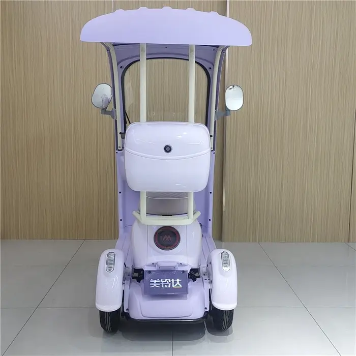 Tricycle électrique de loisirs à 3 roues 60V