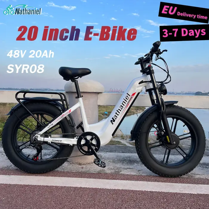 Roue intégrée à double entraînement pour vélo électrique 2000W 20x4.0