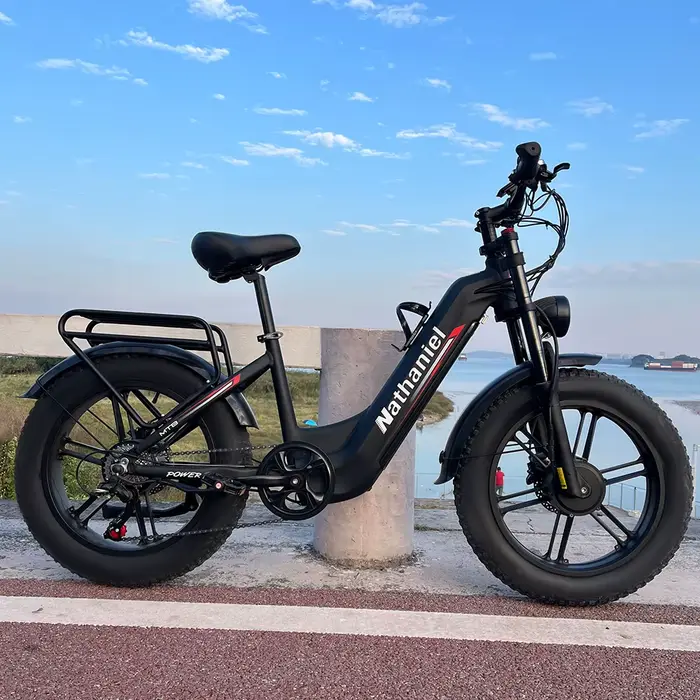 Roue intégrée à double entraînement pour vélo électrique 2000W 20x4.0