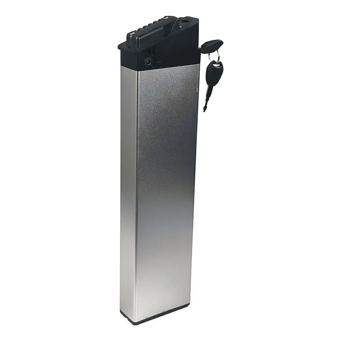 Batterie Mx21 36/48V 12