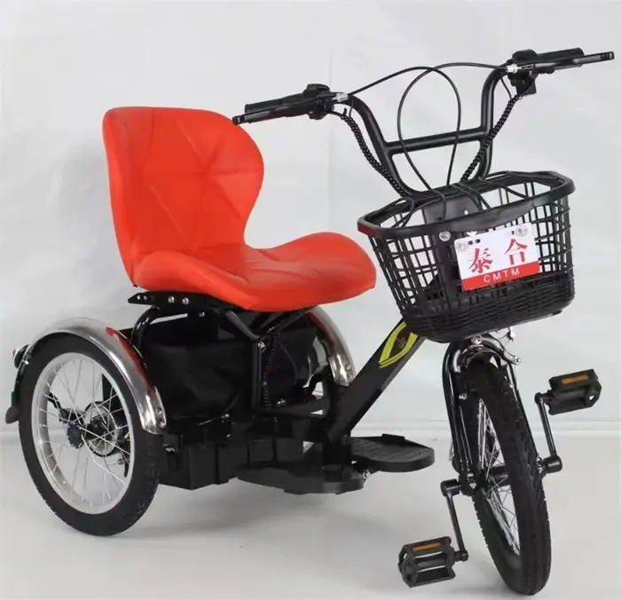 Mini vélo électrique à trois roues 250W 24V