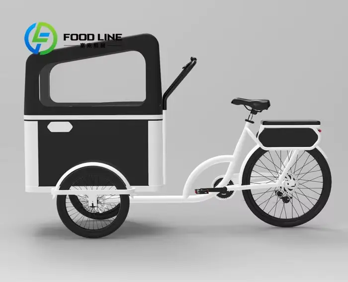Vélo cargo à pédale électrique à 3 roues avec moteur arrière pour transporter des vélos électriques pour animaux de compagnie