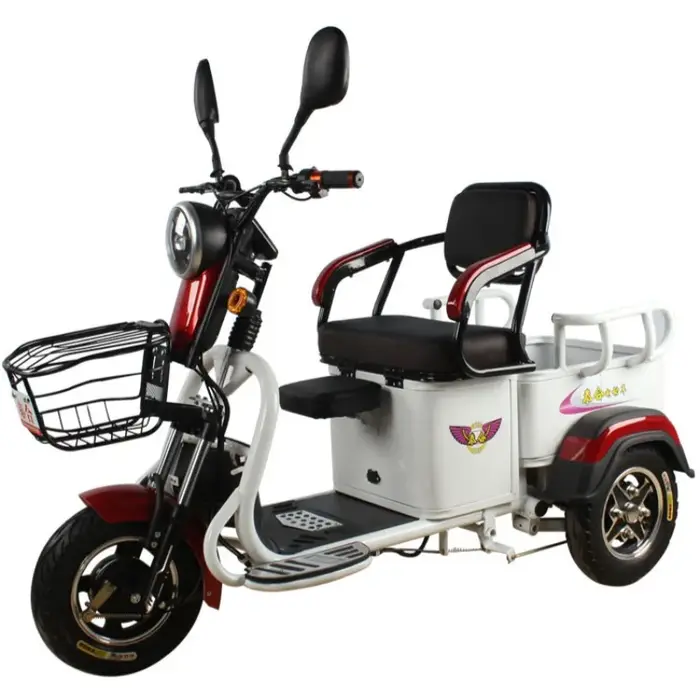 Tricycle électrique Cargo puissant pour adulte