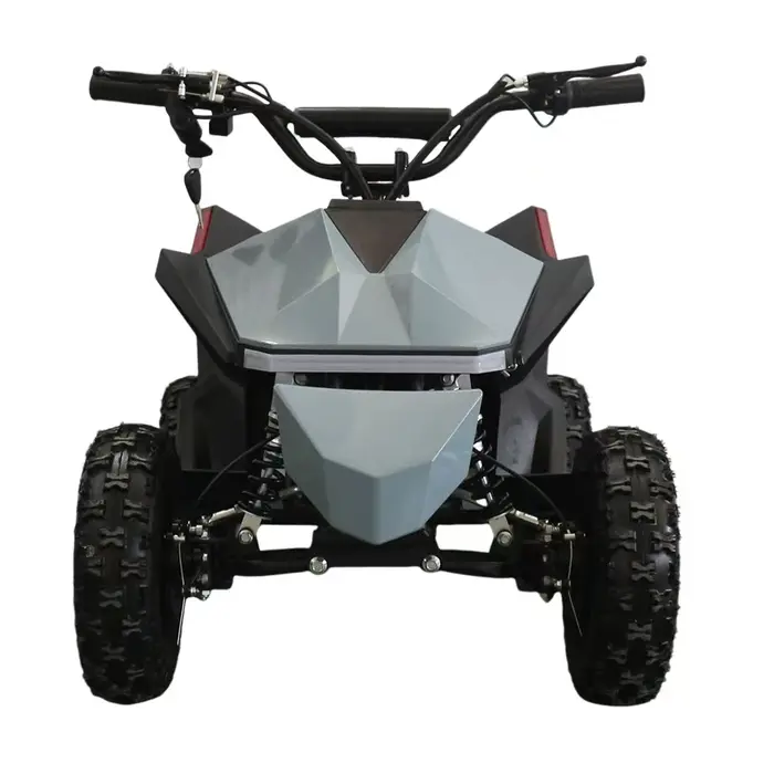 Mini VTT électrique 36V 1000W enfants Mini Quad vélo électrique Mini Atv 3 vitesses