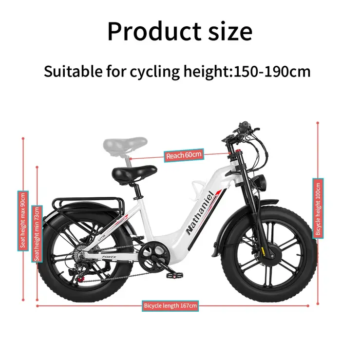 Roue intégrée à double entraînement pour vélo électrique 2000W 20x4.0