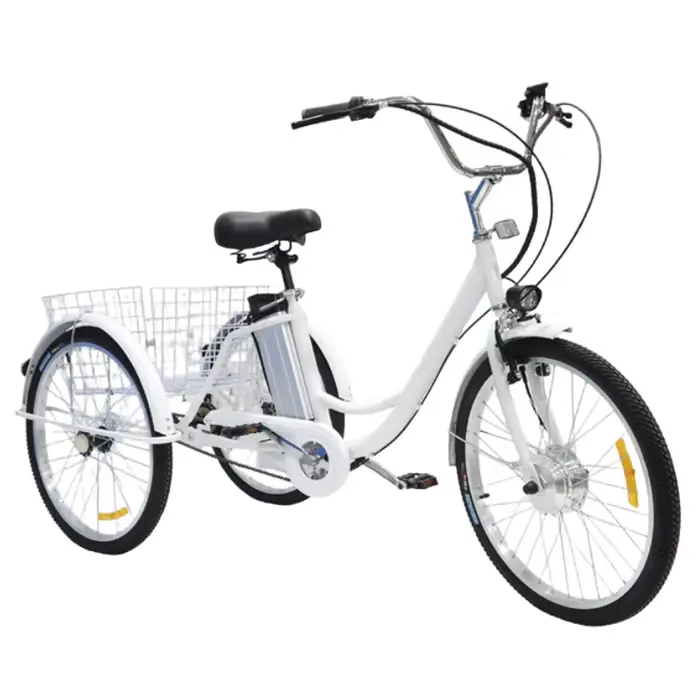 Vélo Cargo électrique à 3 roues pour adultes âgés, Tricycles électriques de 24 pouces, 350W, 36V, po