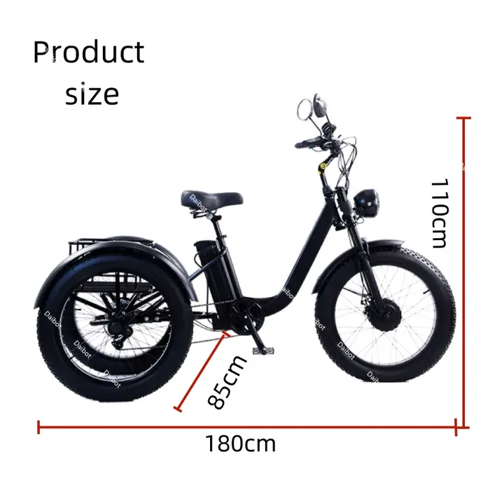 Tricycle électrique à 3 roues pour hommes adultes