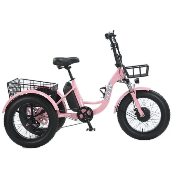 Nouveau 3 roues gros pneu adulte vélo électrique femmes ville 500W 20 pouces famille Cargo Tricycle