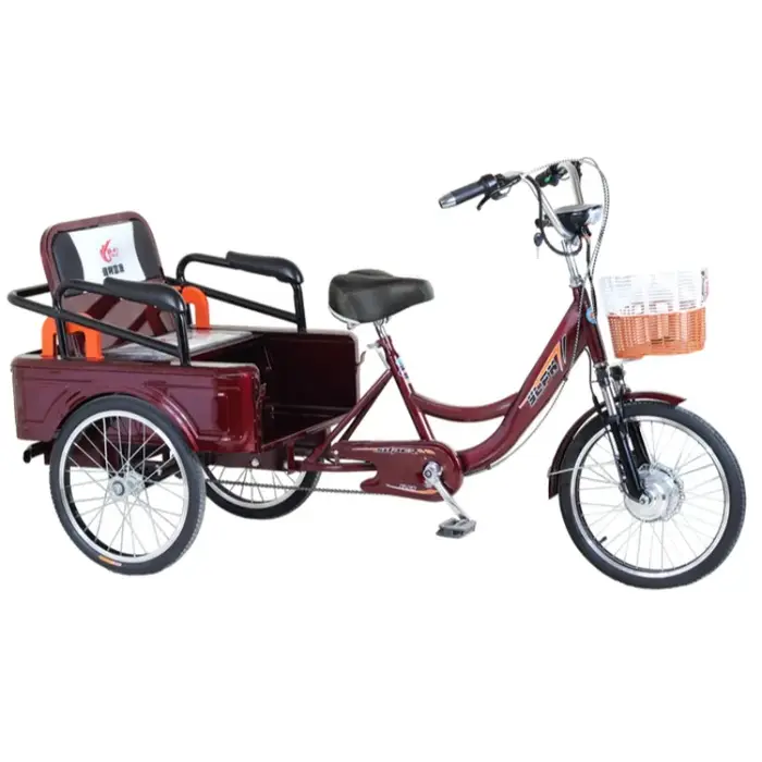 Tricycle Électrique avec Siège Passager pour Adulte