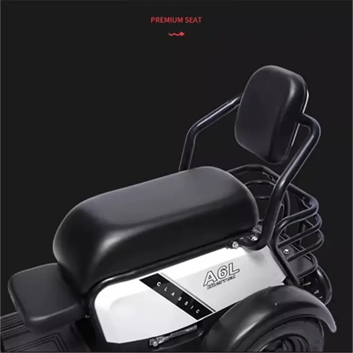 Mini Tricycle électrique adulte 3 lieux 600w 48v tout Terrain Parents enfant Scooter