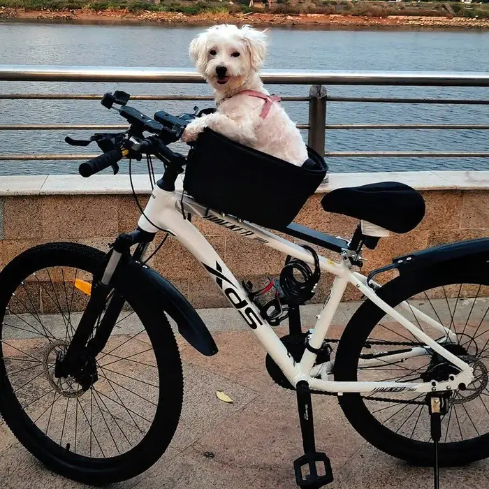 Panier de vélo pliable et détachable pour animaux de compagnie