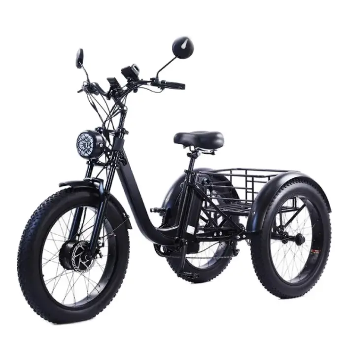 Vélo électrique 24 pouces pour homme et femme