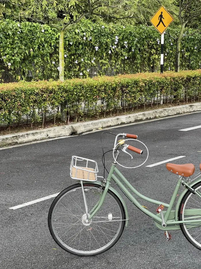 Dia-Compe City leviers de frein de vélo rétro 22.2mm étriers en alliage d'aluminium V
