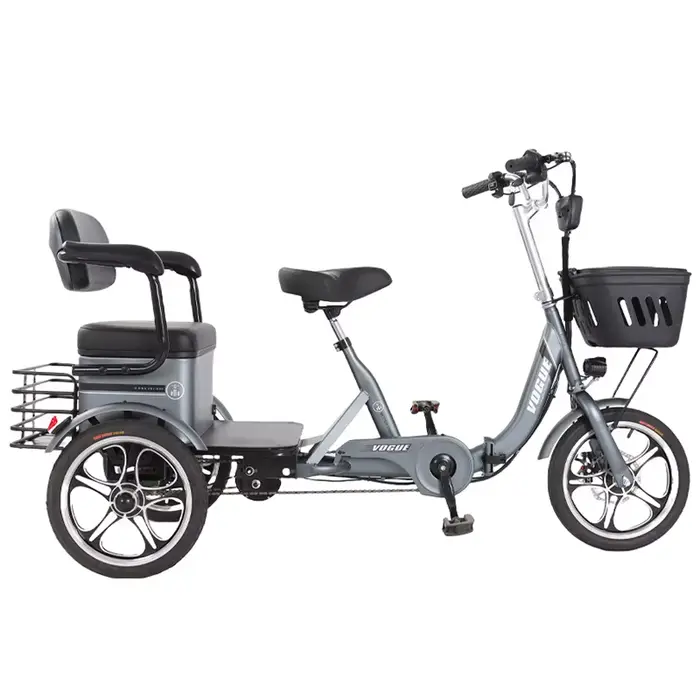 Tricycle Électrique Pliant à 3 Roues pour Deux Adultes, Bicyclette Électrique de 400W et 48V avec Si