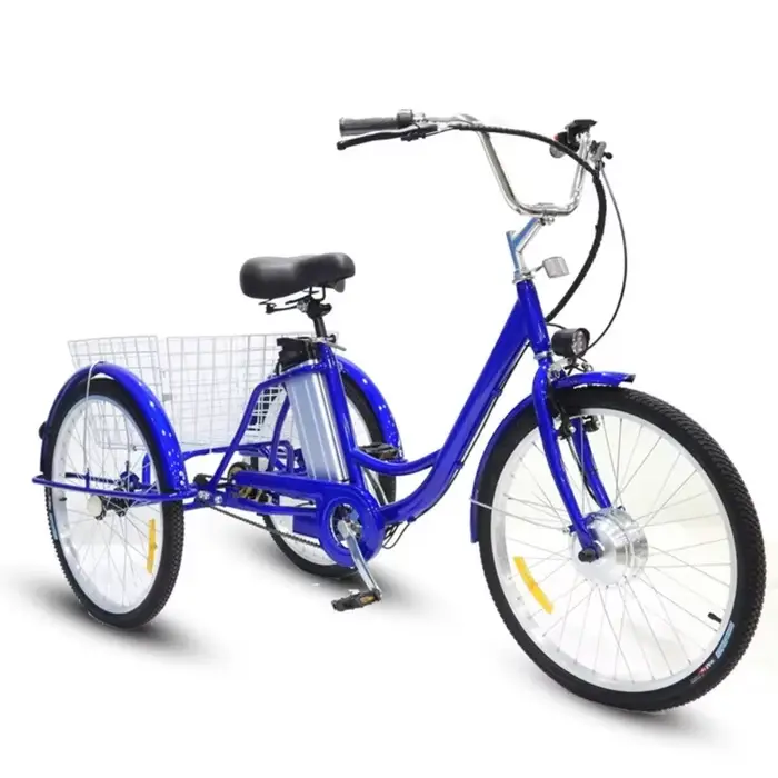 24 pouces 3 roues Tricycle électrique Cargo vélo adulte Senior avec panier arrière 350W famille