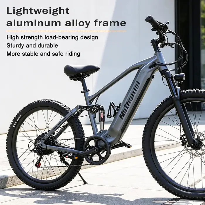Vélo électrique 1000W 48V 20AH