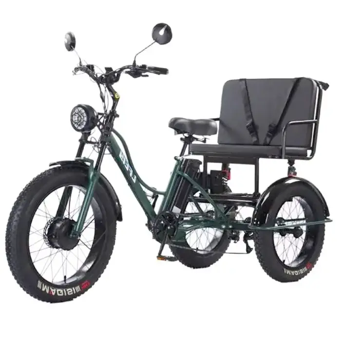 Nouveau Tricycle électrique à 3 roues vélo Cargo avec passagers personnes âgées adultes 2 places 750W puissant
