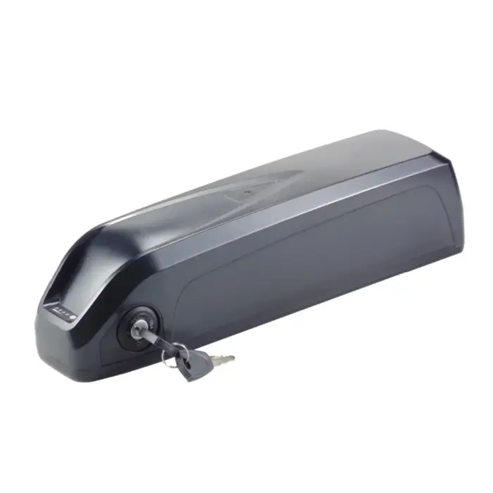 RAD POWER BIKES RadWagon 4 batterie de vélo de chargement électrique 48V 10.4Ah 11.6Ah 12Ah 12.8Ah 14Ah 15Ah