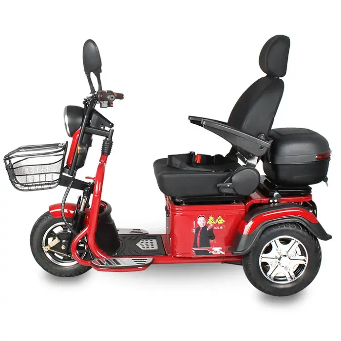 Trottinette de mobilité à 3 roues 600W 60V