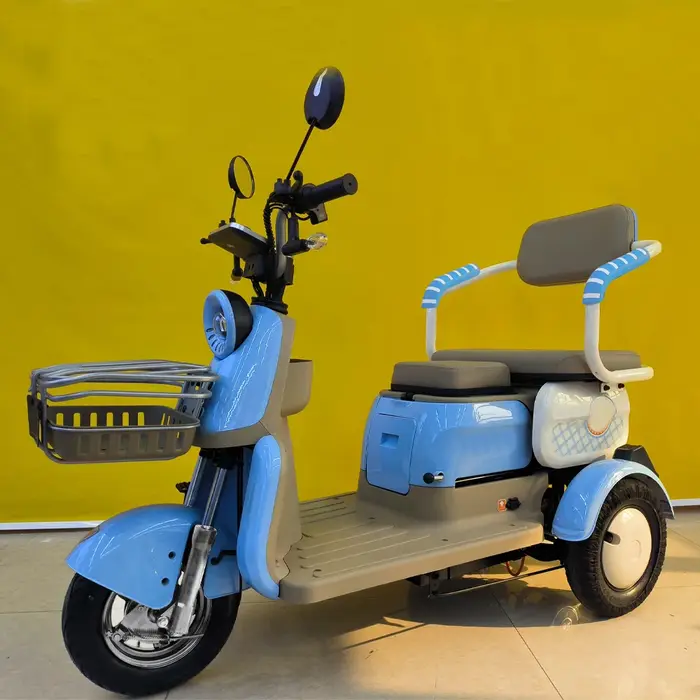 Tricycle électrique 650W en gros, vélo cargo à 3 roues pour adultes avec siège passager et panier, E