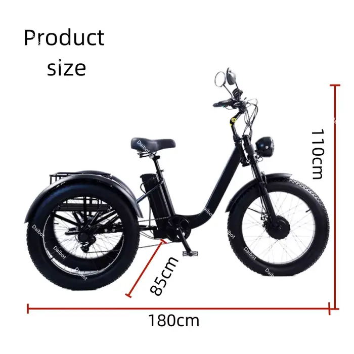 Tricycle électrique de chargement de 3 roues pour adulte puissant 750W 48V 15AH 24 pouces gros VTT