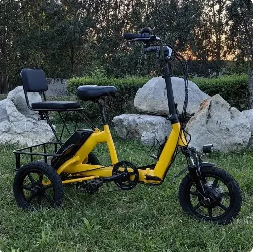 Tricycle électrique pliable pour adultes 48V au lithium