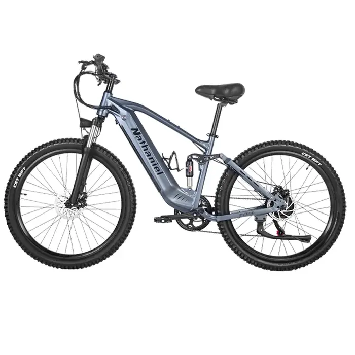 Ebike SYR03 VTT électrique tout-terrain 1000W 48V 20AH batterie au Lithium vélo queue souple absorpt